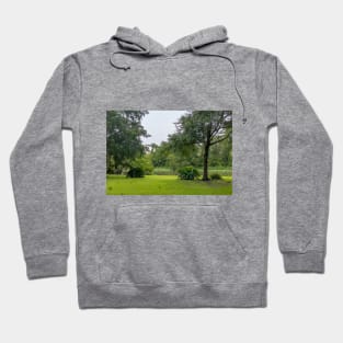 Peaceful Bayou Life in Louisiana Hoodie